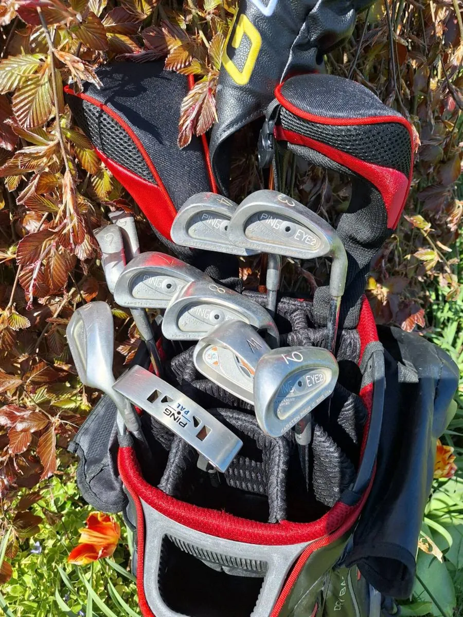 Golf clubs, full set and bag. - Image 1