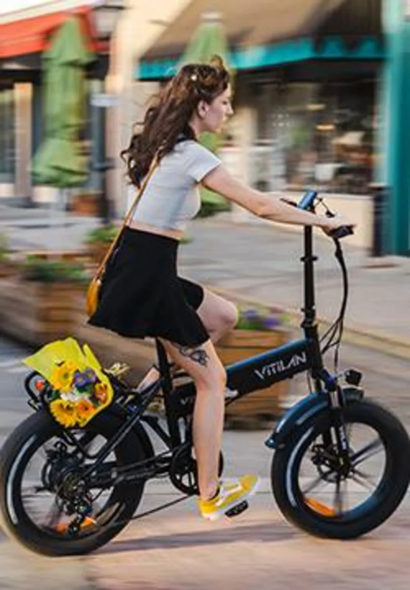 VITILAN V3 Electric Folding WARRANTY DELIVERY - Image 3