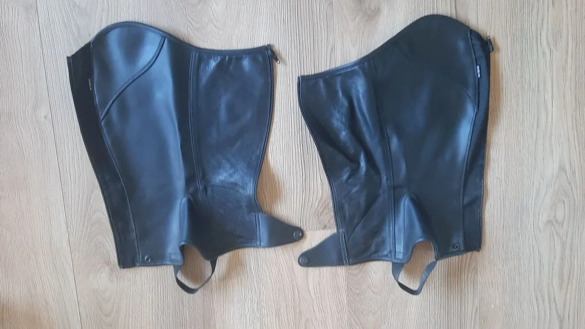 Riding chaps - Image 1