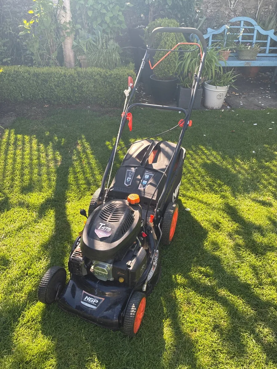 Lawnmower - Petrol Self Propelled - Image 1