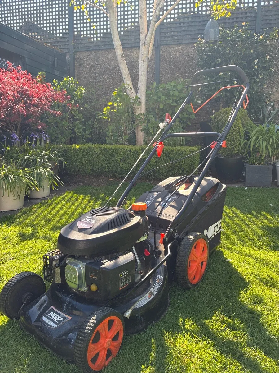 Lawnmower - Petrol Self Propelled - Image 2