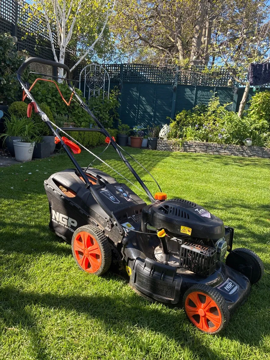 Lawnmower - Petrol Self Propelled - Image 3