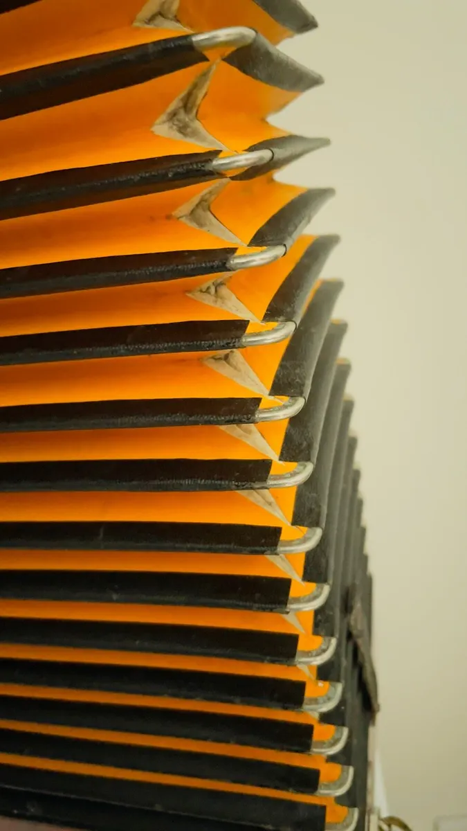 Hohner Erica D/Eb - Image 4