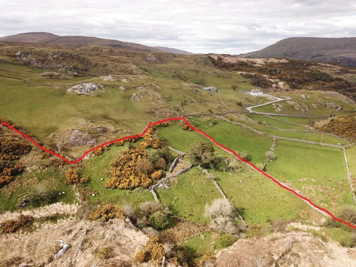 44 ACRES OF AGRICULTURAL LAND - Image 4