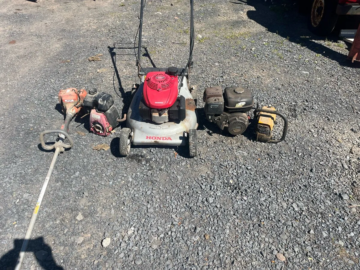 Lawnmower strimmer engines