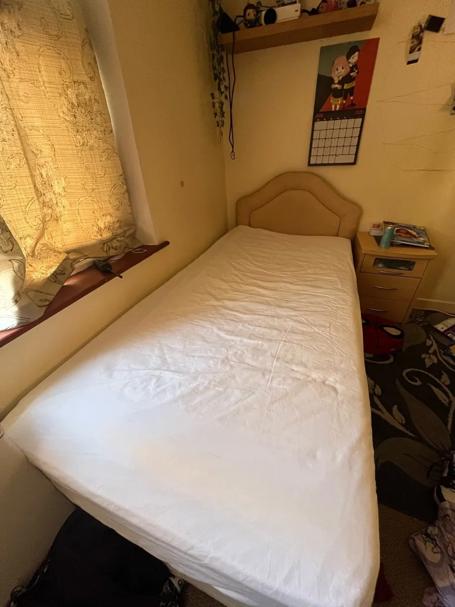 trundle bed single - Image 2