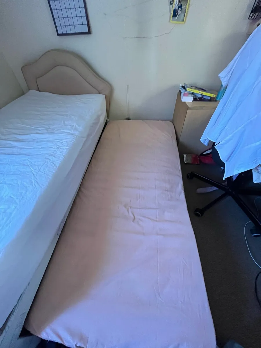 trundle bed single - Image 4