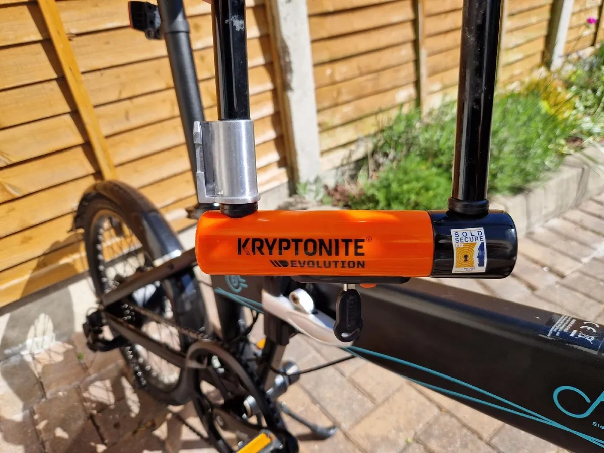 Fiido D4S Electric Bike - Image 4