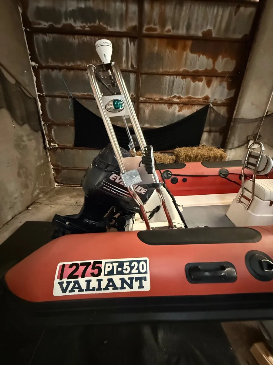 Rib Valiant PT-520 - Image 4