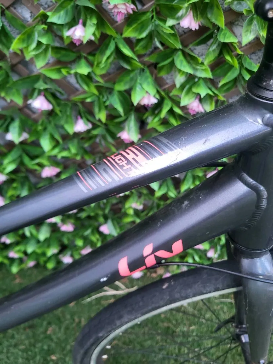 Giant Roam 3, hybrid disc, 
Liv Alight 3 ladies - Image 3