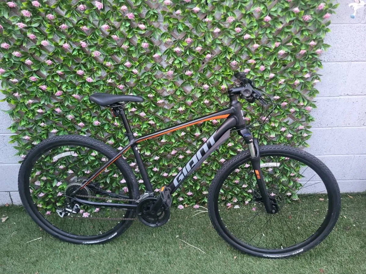 Giant Roam 3, hybrid disc, 
Liv Alight 3 ladies - Image 4