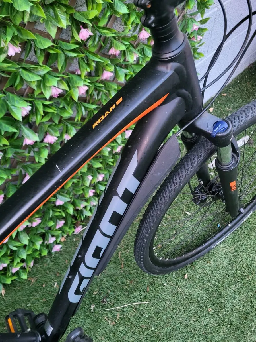 Giant Roam 3, hybrid disc, 
Liv Alight 3 ladies - Image 2