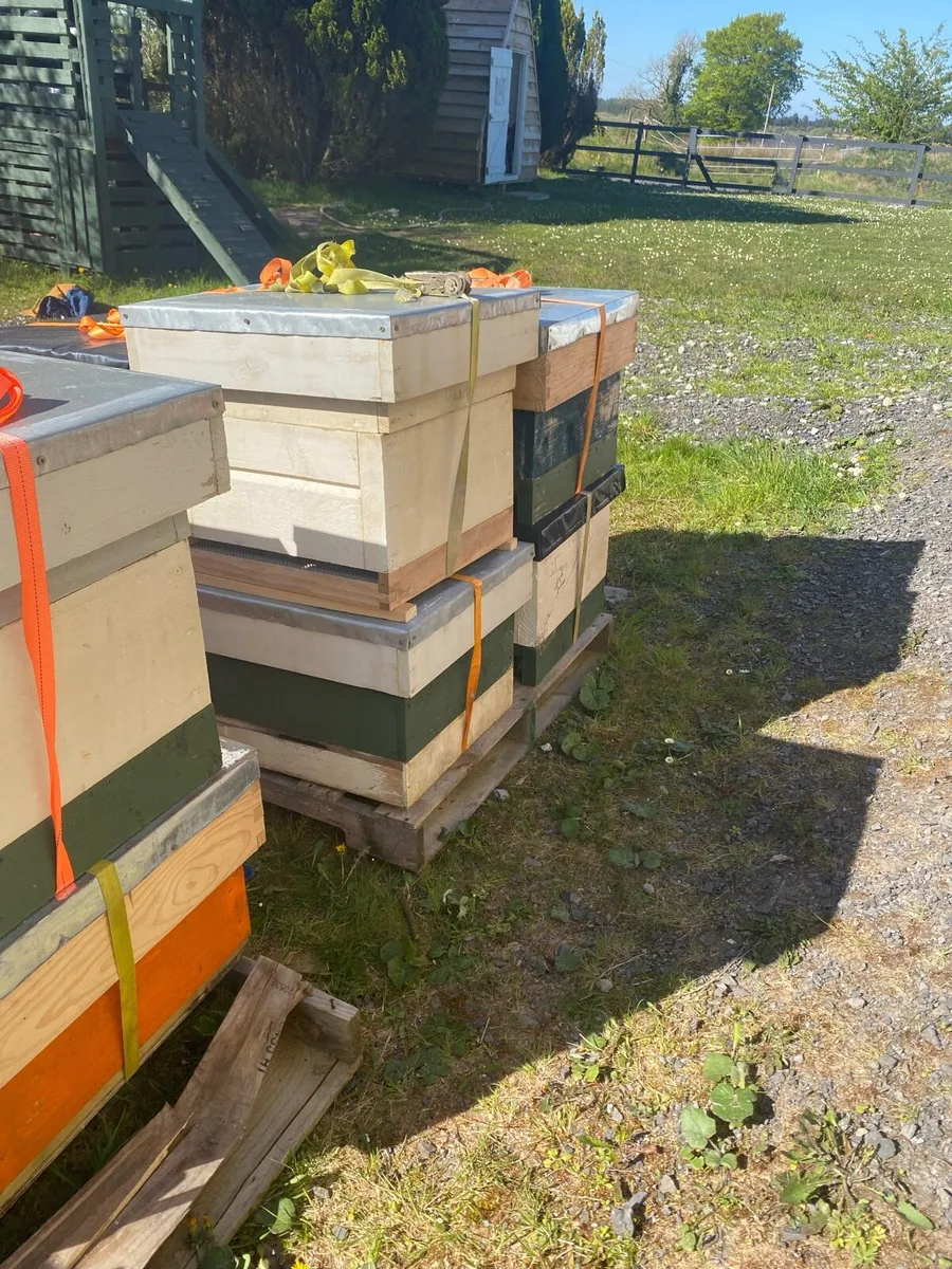 Job Lot of Beekeeping Equipment - Image 2