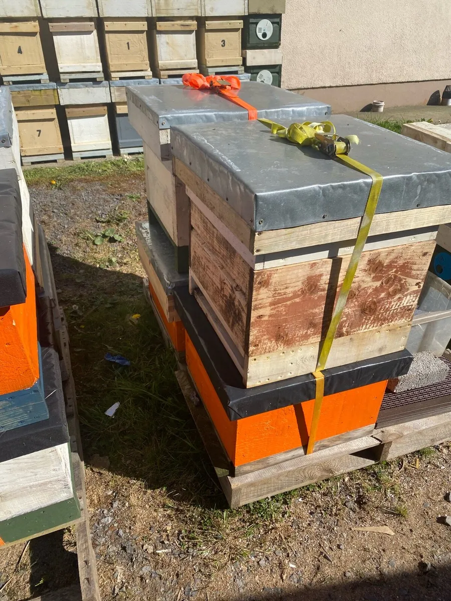 Job Lot of Beekeeping Equipment - Image 3