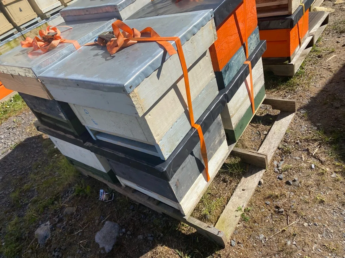 Job Lot of Beekeeping Equipment - Image 4