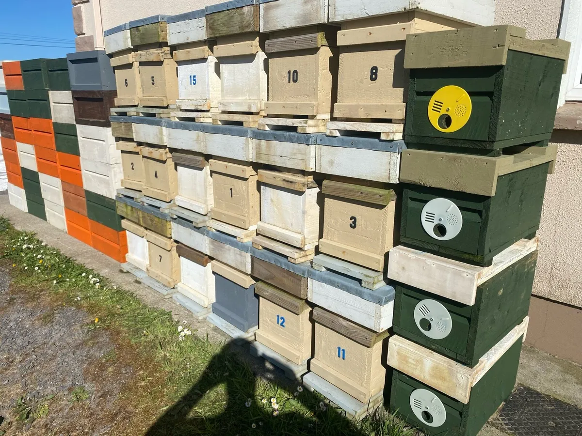 Job Lot of Beekeeping Equipment - Image 1