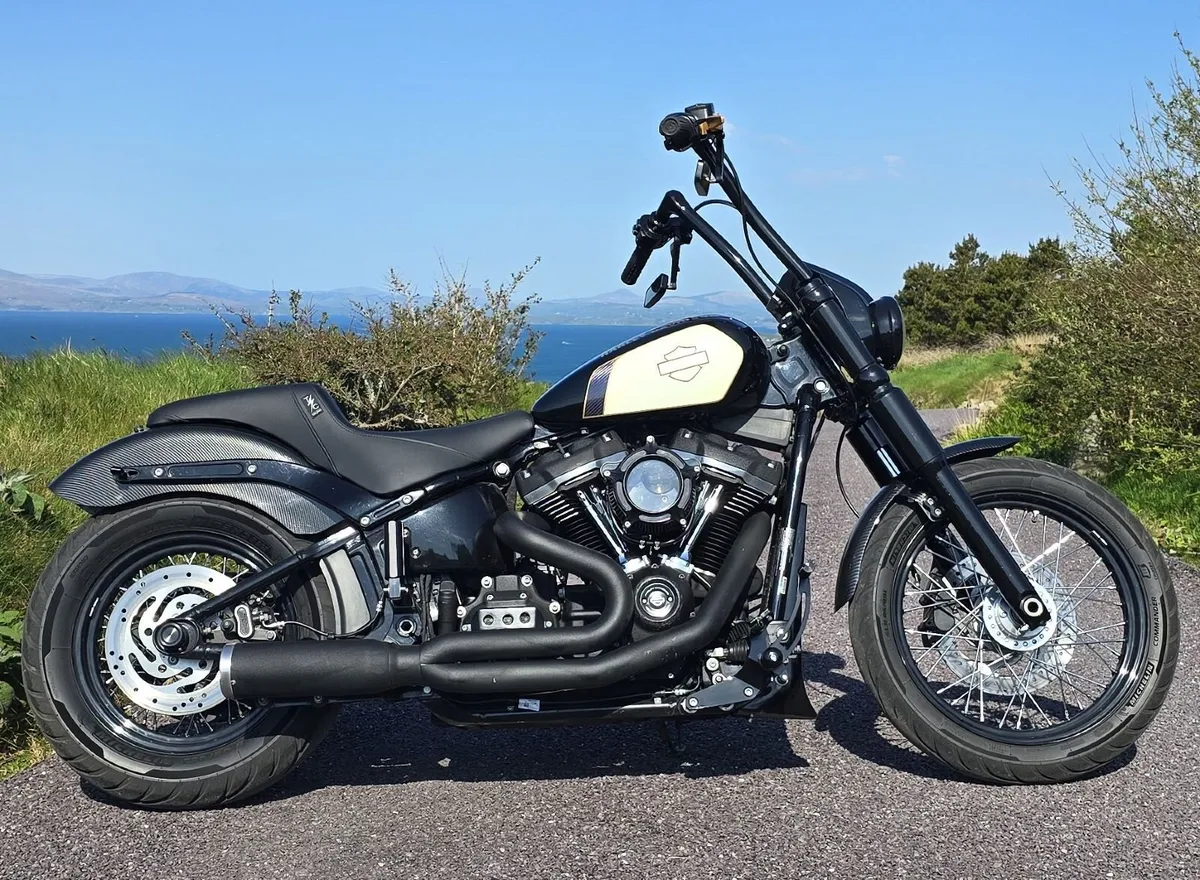 HARLEY DAVIDSON Other 2020 - Image 1