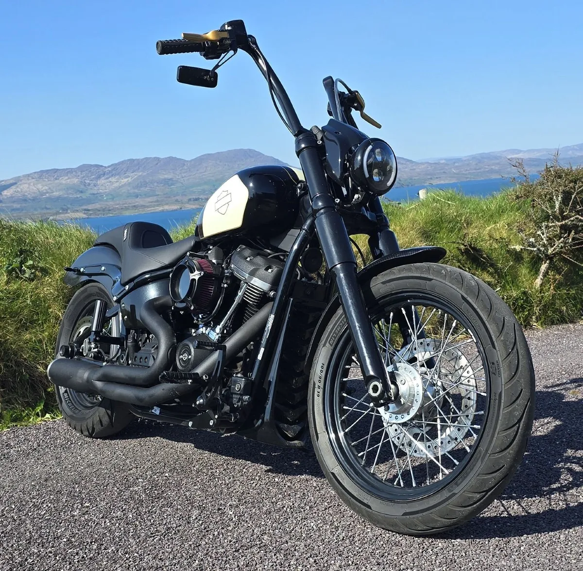 HARLEY DAVIDSON Other 2020 - Image 3
