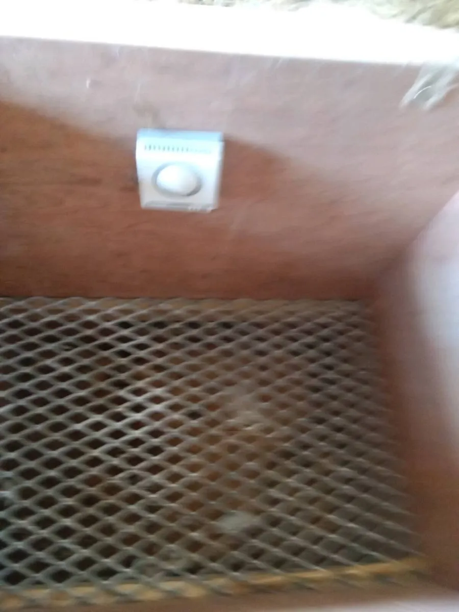 Lamb warmer box - Image 1
