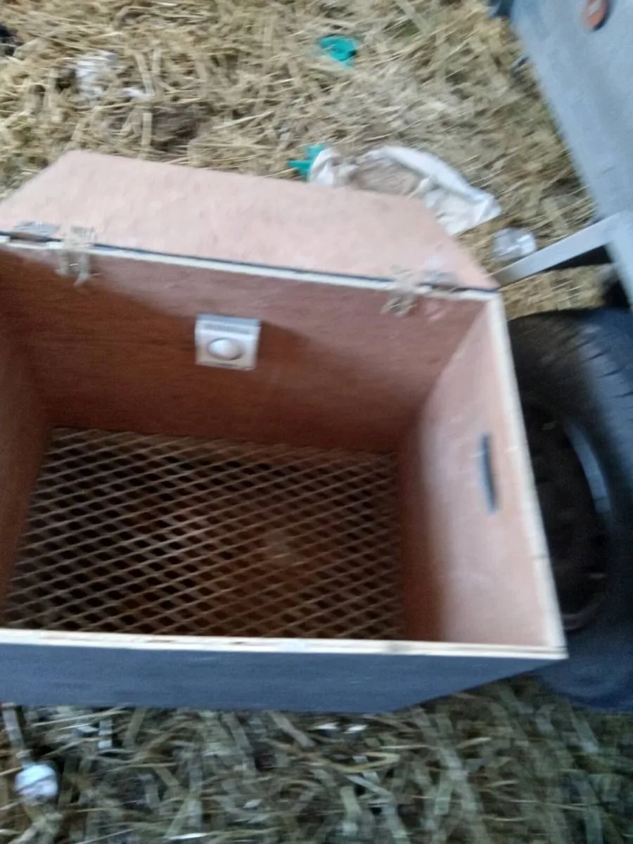 Lamb warmer box - Image 4