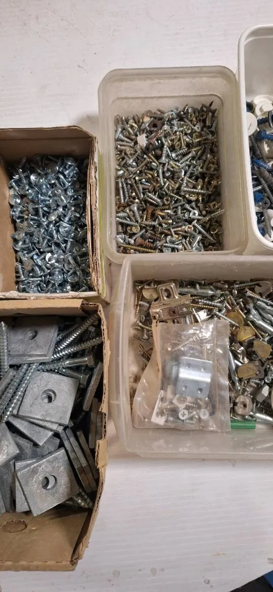 Assorted screws