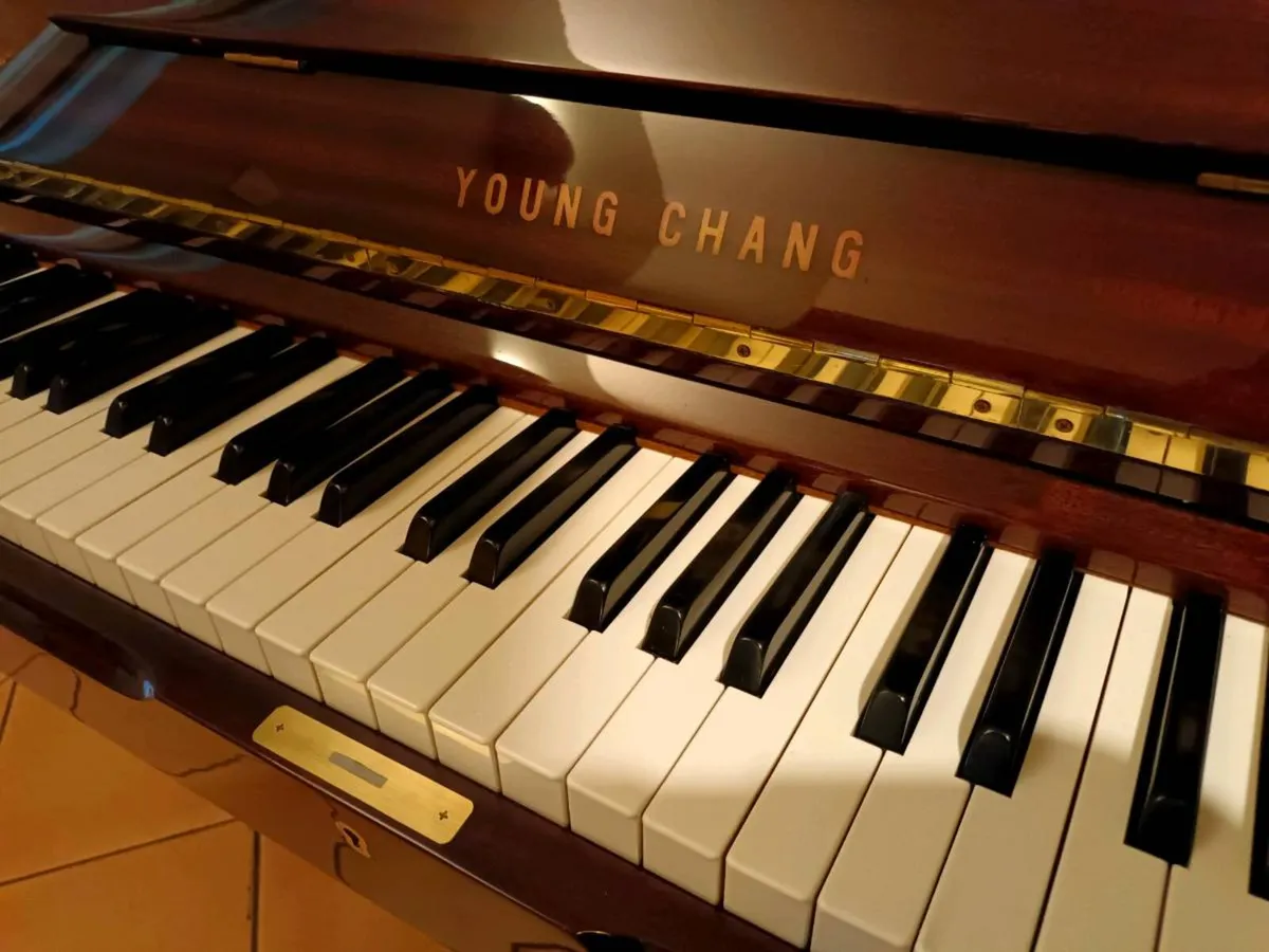 1987 Young Chang | €51.20 Per Month - Image 3