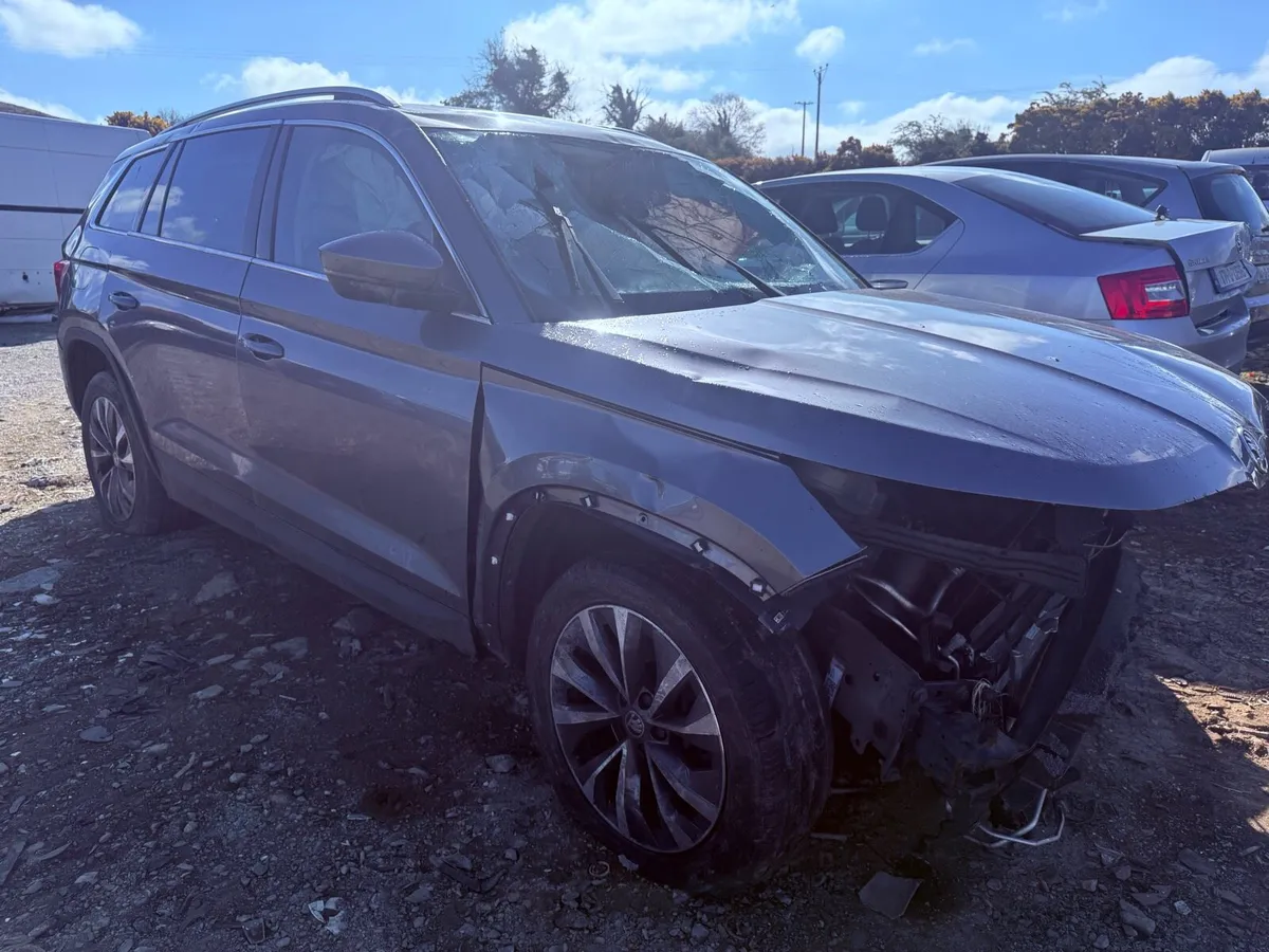 Skoda Kodiq - Image 1