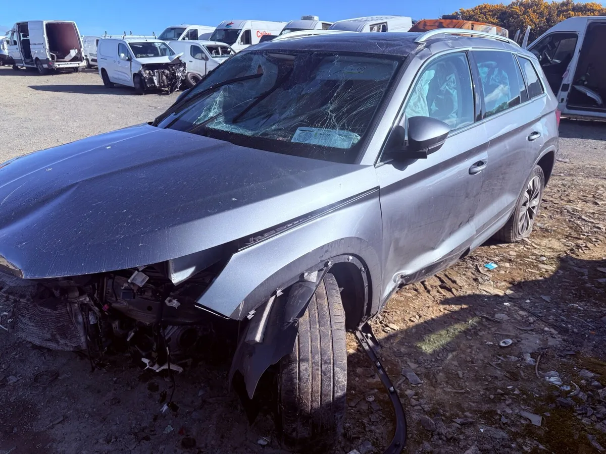 Skoda Kodiq - Image 2