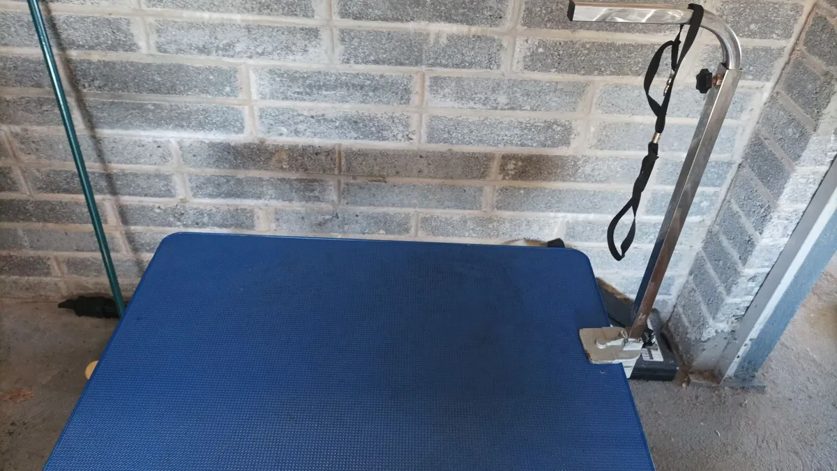 Dog Grooming Bath - Image 2