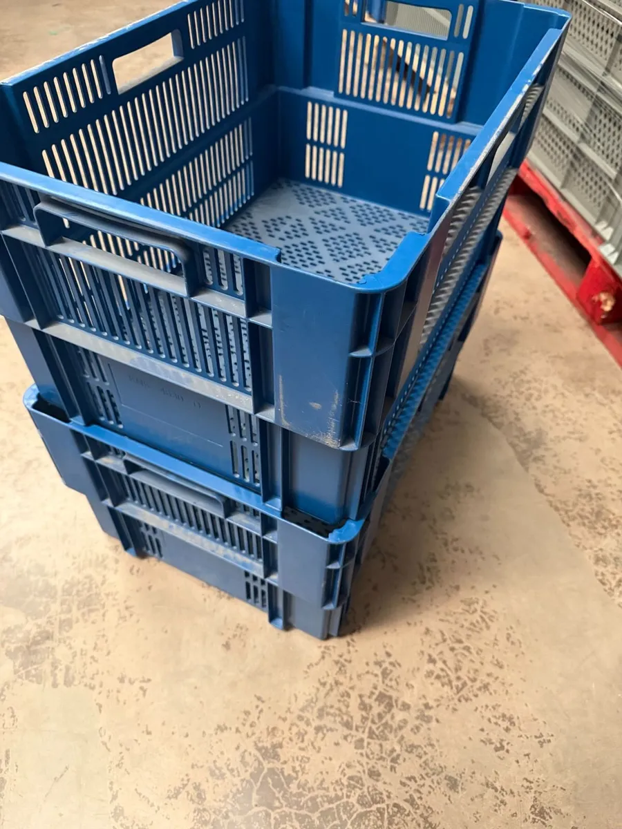 Storage box CLEARANCE SALE - Image 2