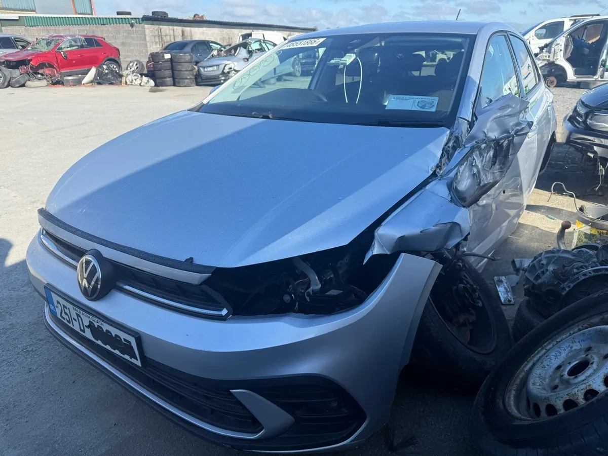 2025 Volkswagen Polo - Image 2