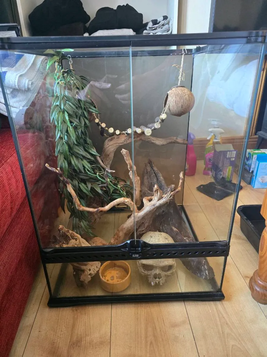 Reptile Tank - Image 4
