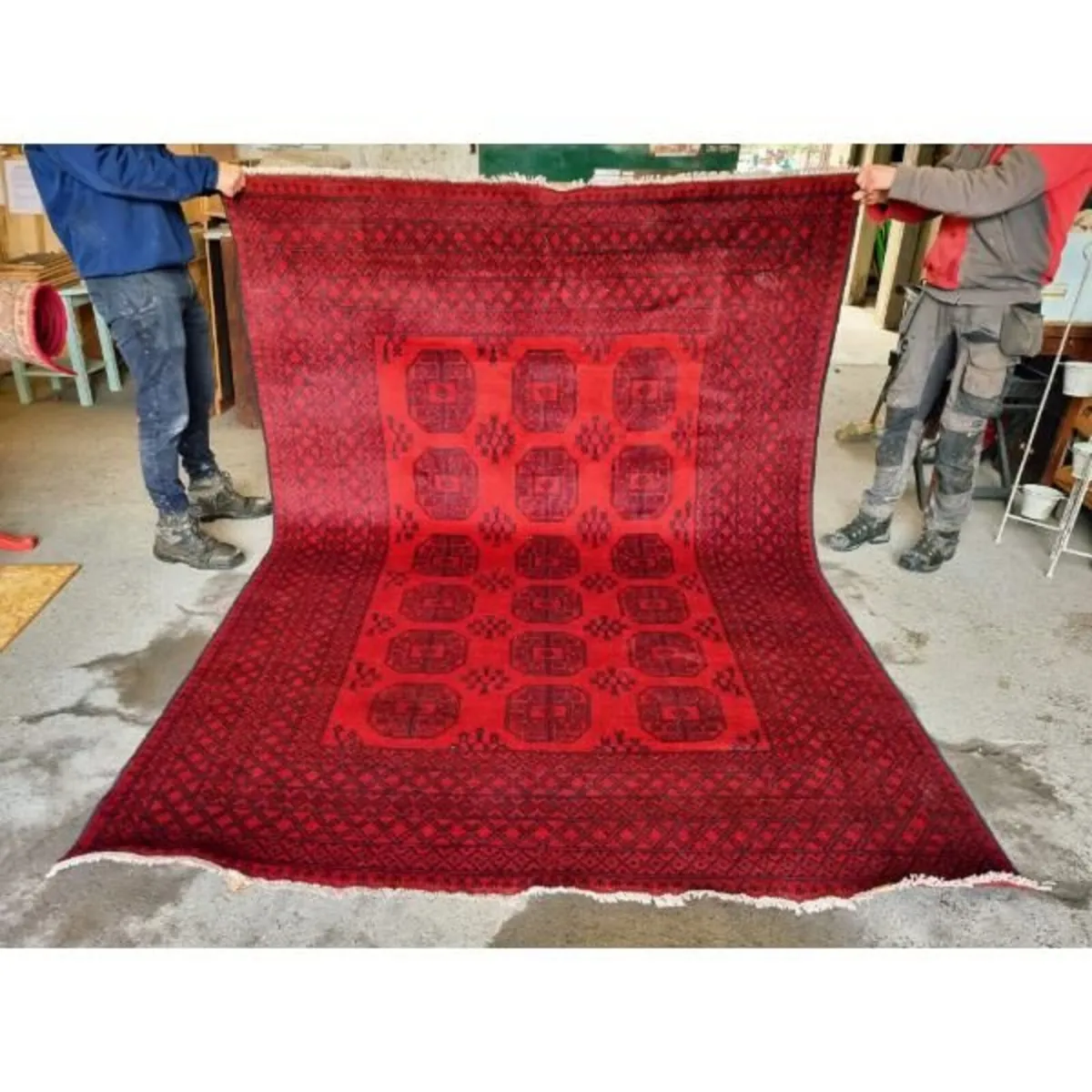 Aqcha Rug KASRUG44  287cm x 198cm - Image 1