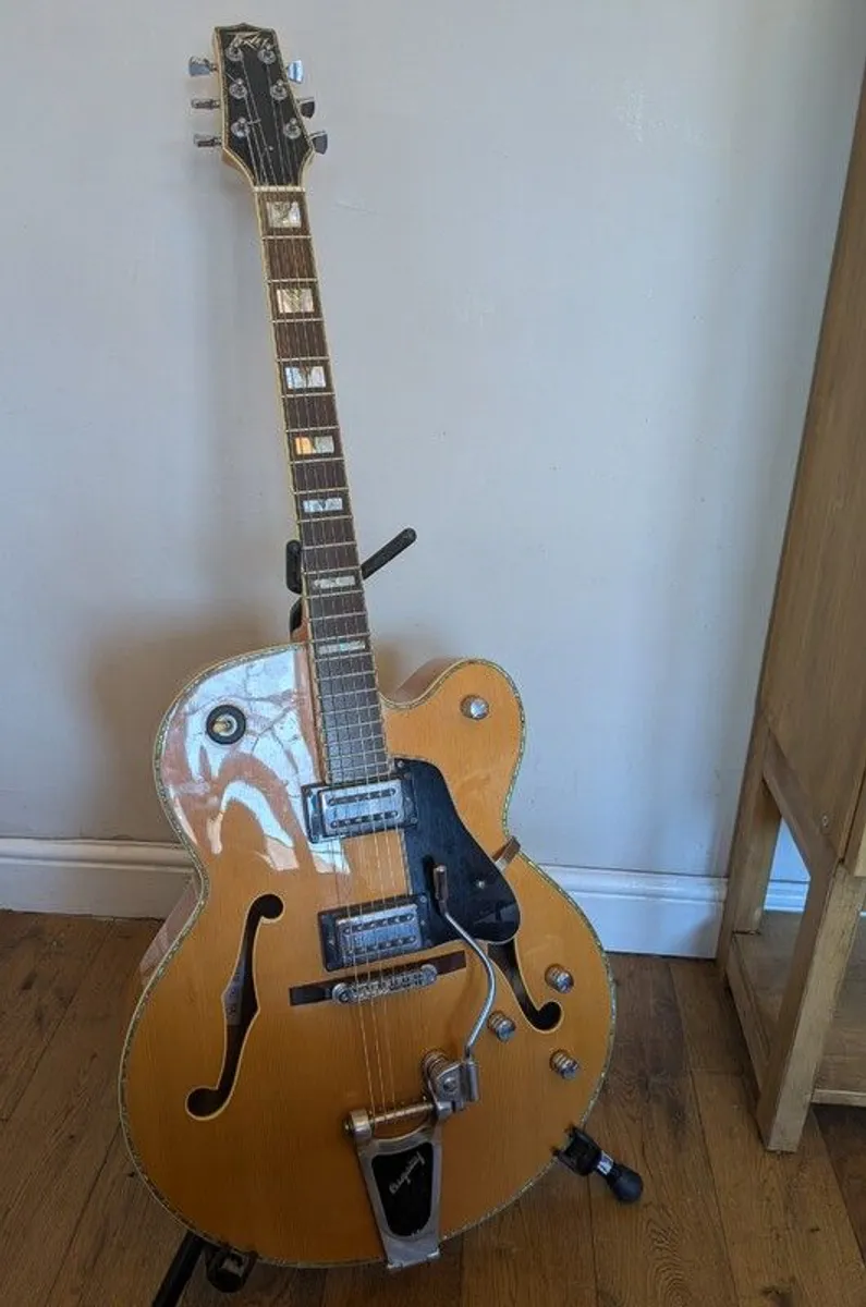 Peavy Rockingham B6 Guitar - Image 1