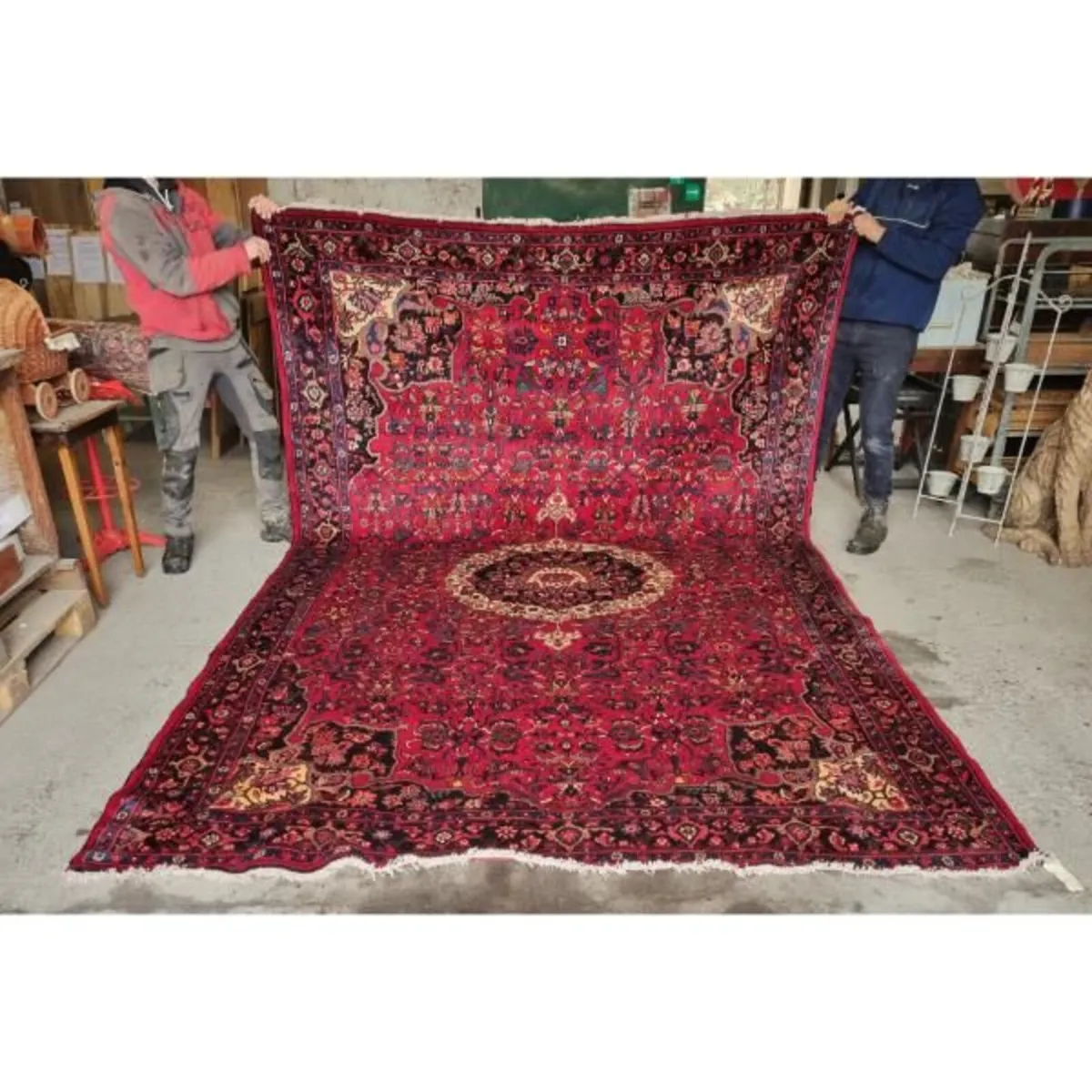 Koltoq Rug KASRUG41  368cm x 240cm - Image 1