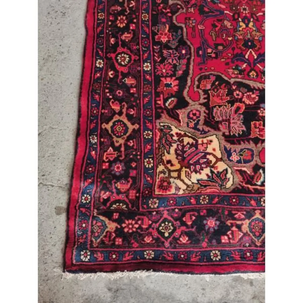 Koltoq Rug KASRUG41  368cm x 240cm - Image 3