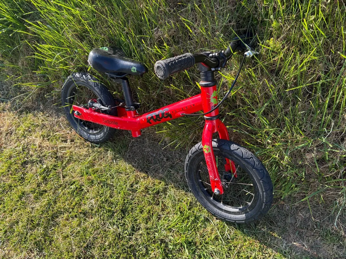 Frog tadpole balance bike - Image 2