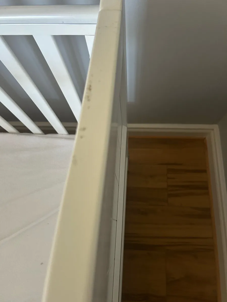 Sorrento Cot - Image 4