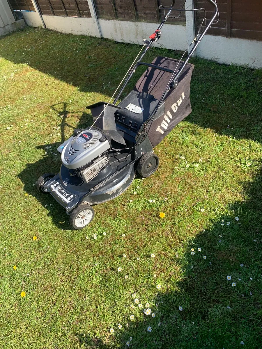 Lawnmower - Image 2