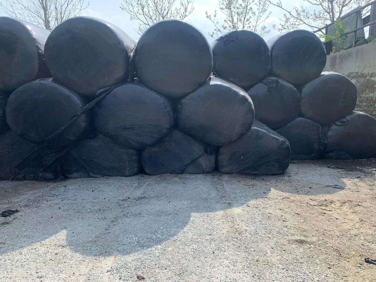 First cut silage - Image 1