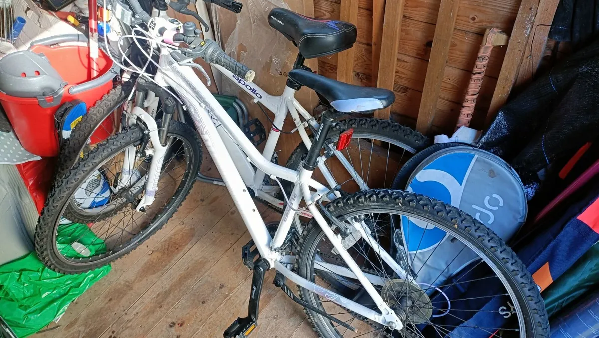 Cycle bikes - Image 1