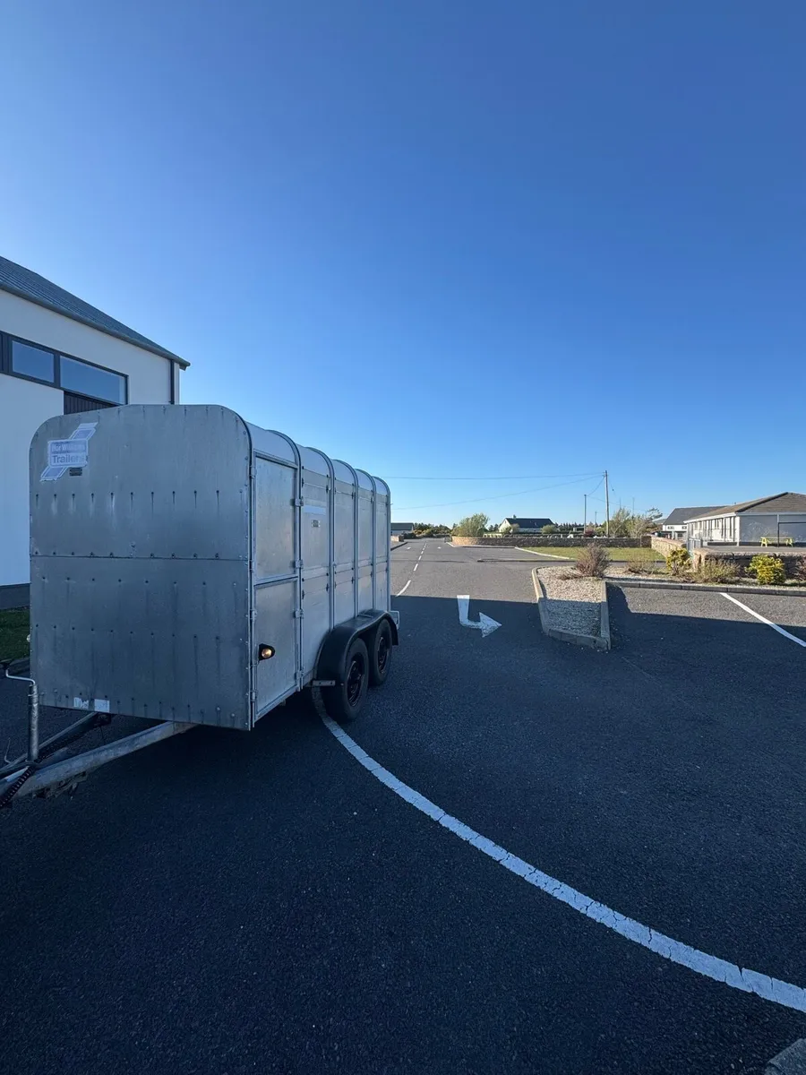 10x5 cattle sheep trailer - Image 2
