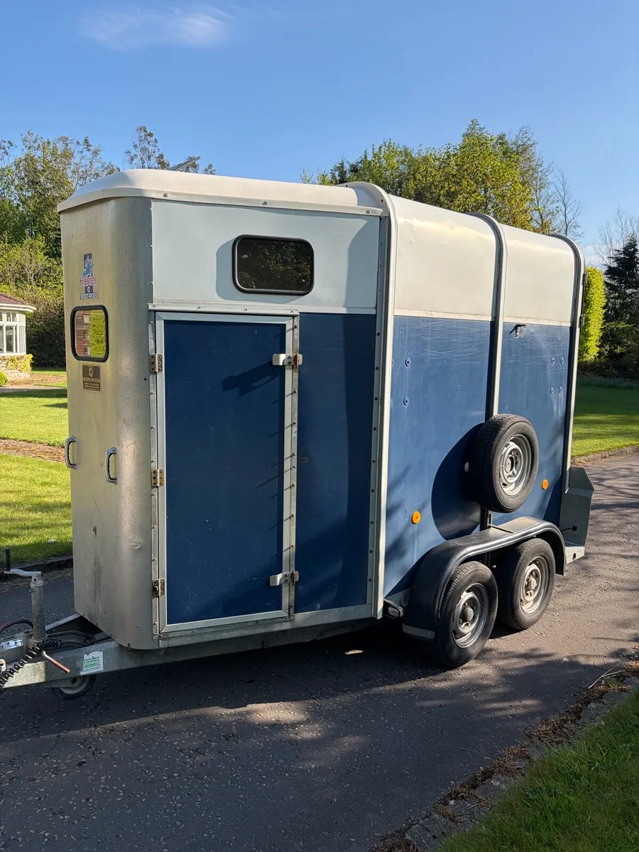 Ifor Williams Horsebox HB505R - Image 2