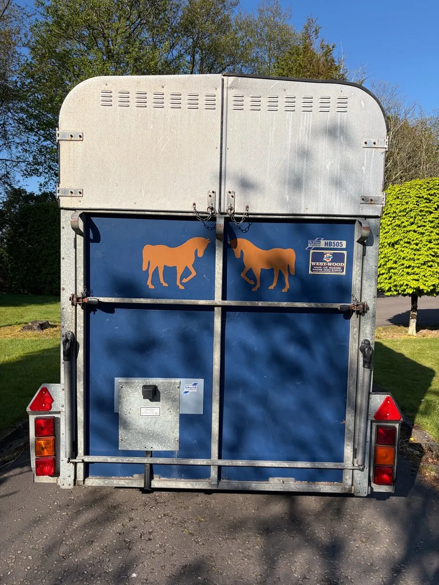 Ifor Williams Horsebox HB505R - Image 3