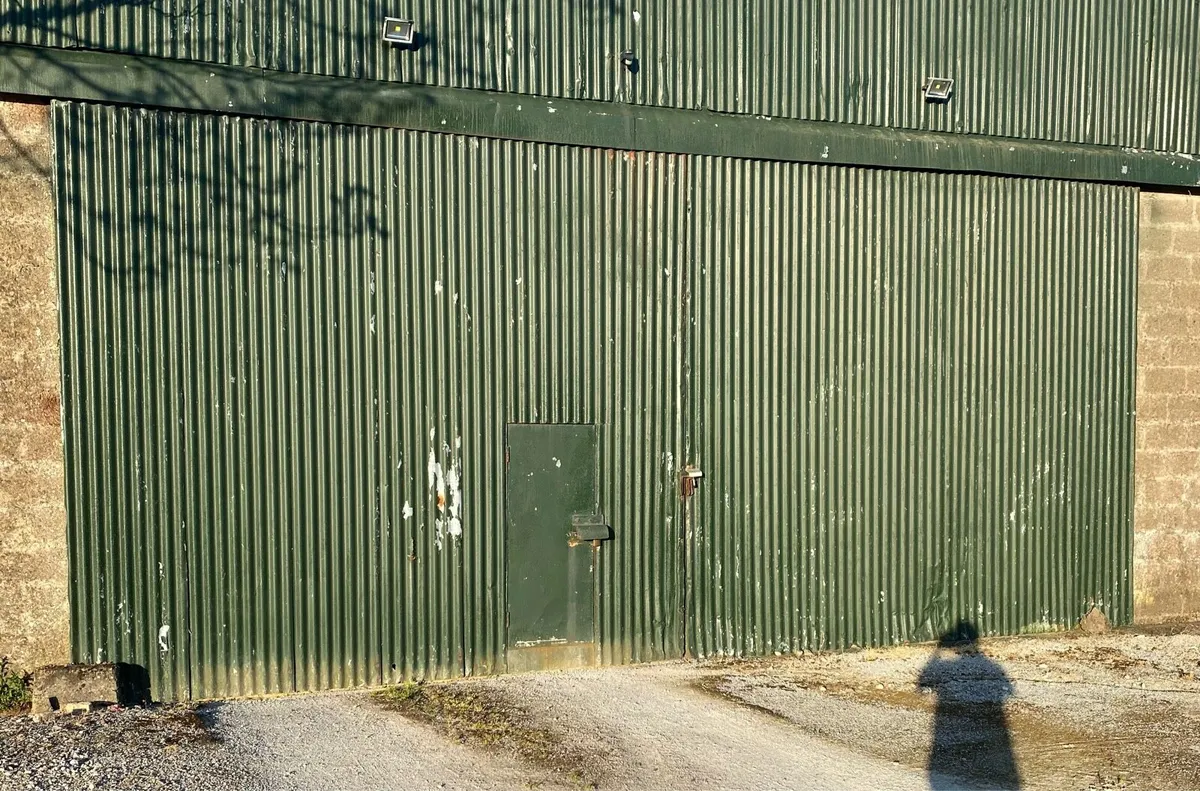 Shed doors - Image 1