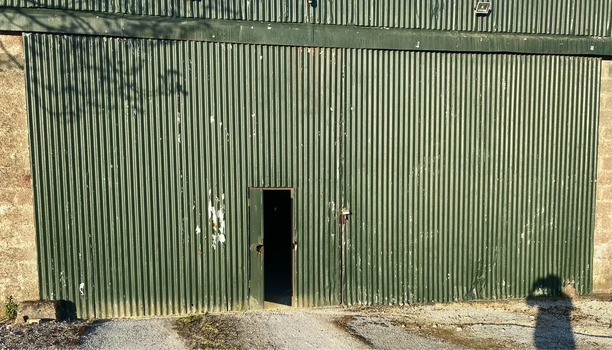 Shed doors - Image 2