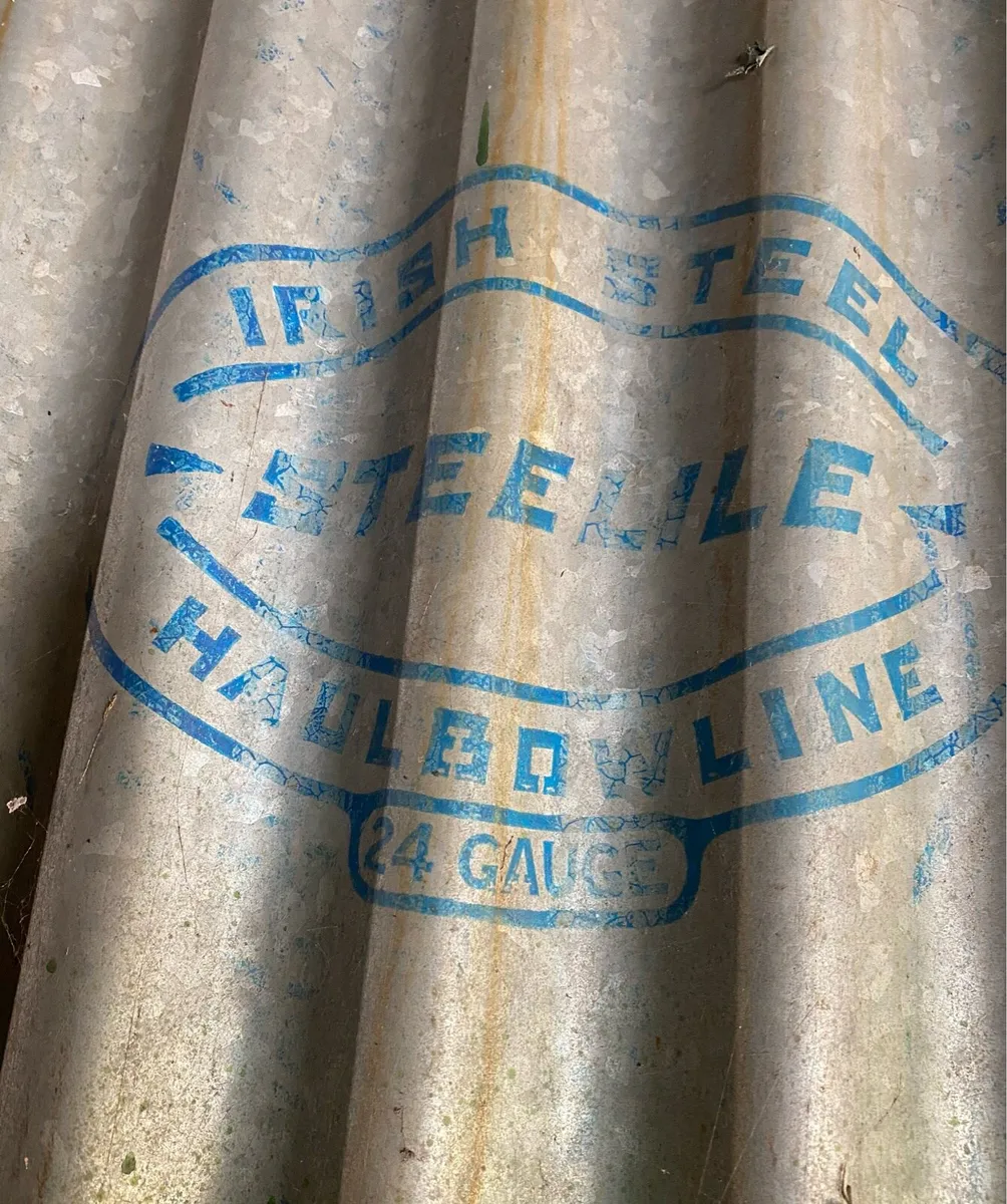 Shed doors - Image 3