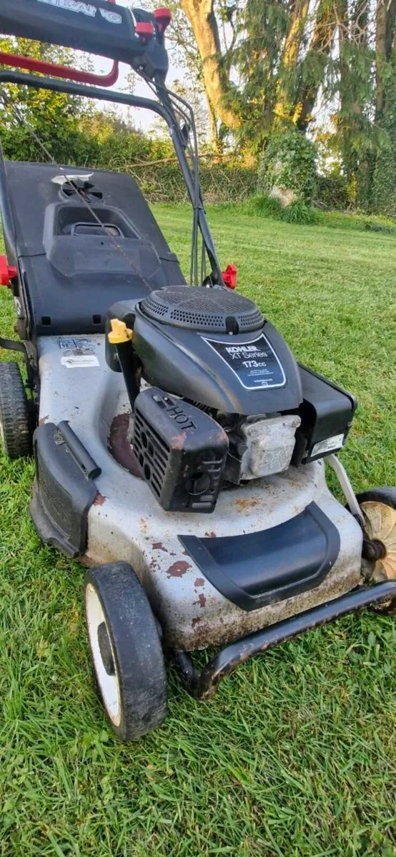 Weibang mower - Image 4