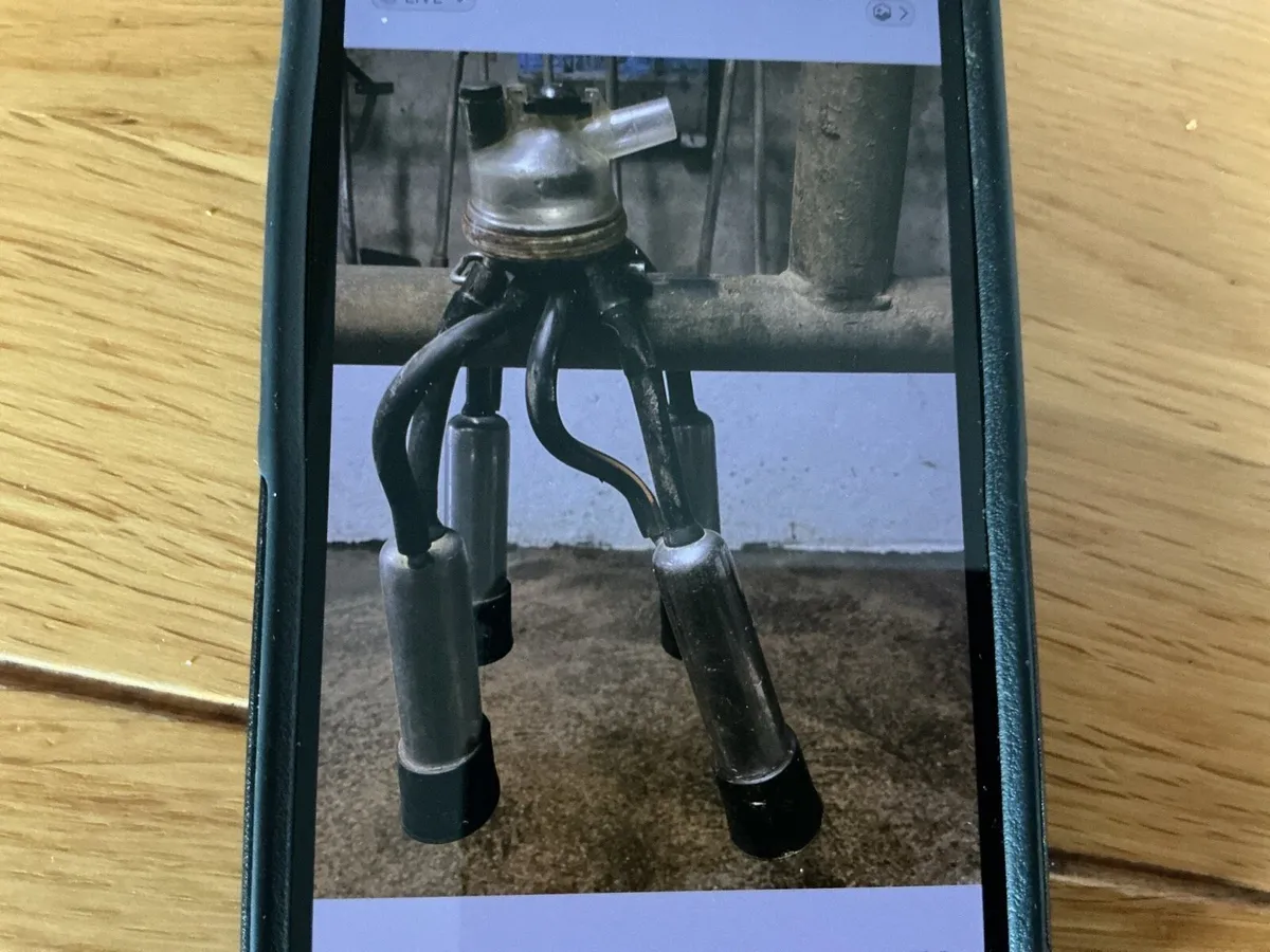 Milking clusters and milking bowl - Image 1