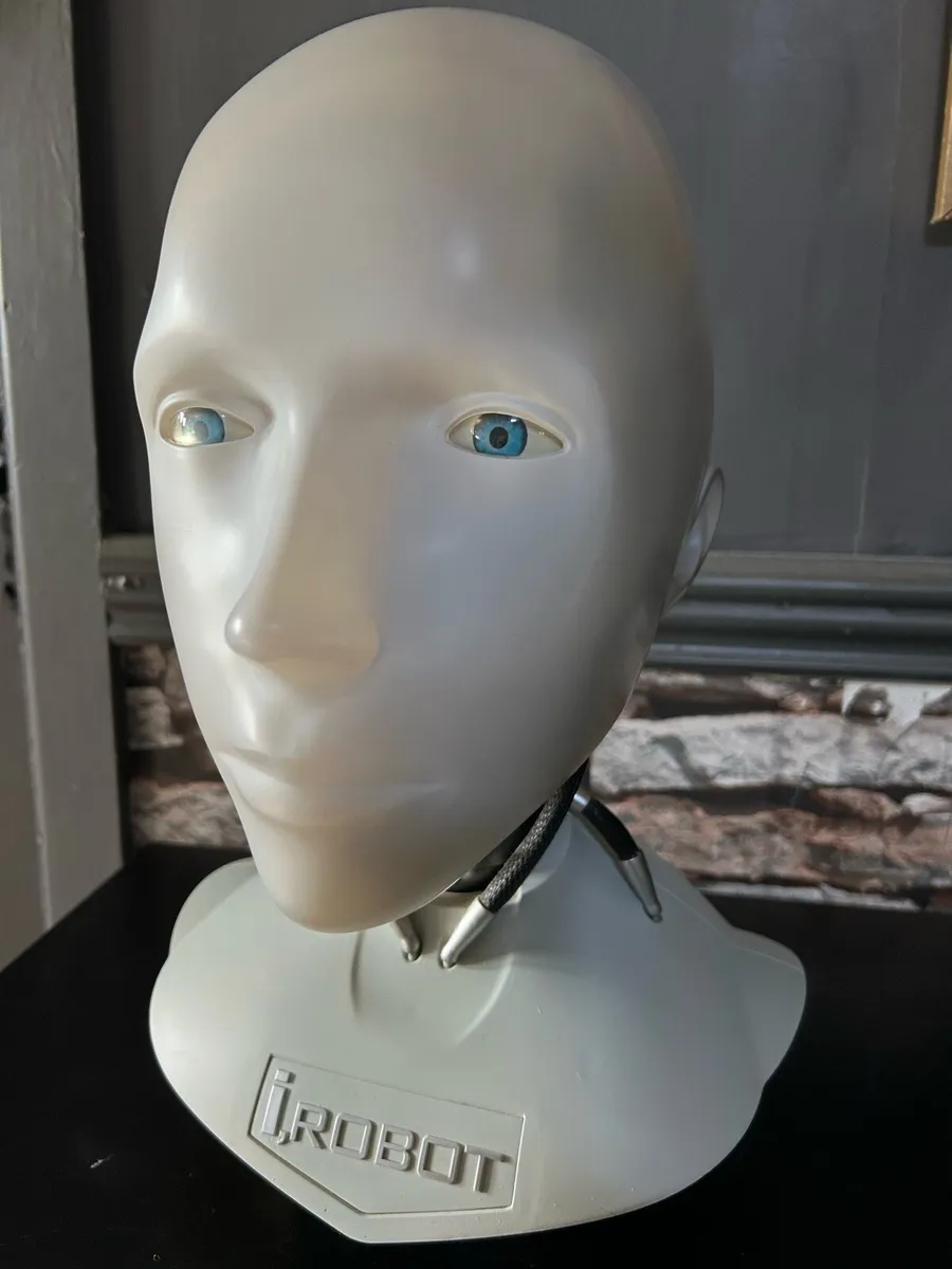 iRobot sunny - Image 1